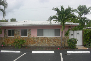 landscape cleanup and renovation